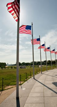 American Flags at the Washington Monument