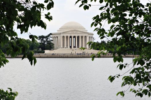 Jefferson Memorial in Washington DC, shot from across the Tidal Basin with Leaves in the Foreground