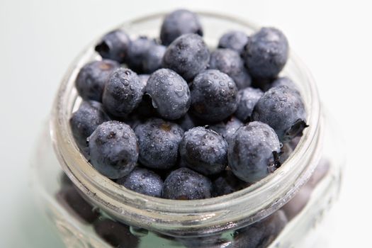 Bunch of fresh, misty blueberries