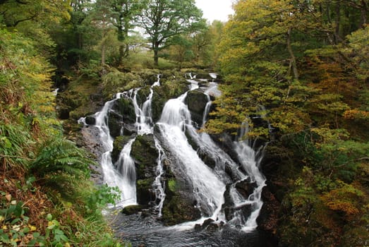 Waterfall in forest. White water running down on rocks