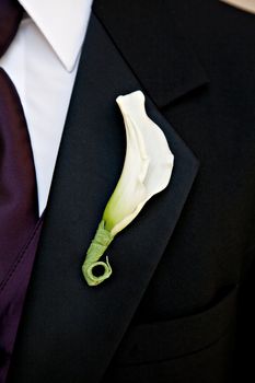 Close-up of a groom with a flower on his lapel and a purple tie