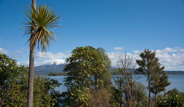 New Zealand s naturally beautifull scenery.