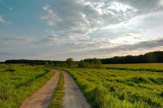 he field road leaving afar, for horizon.