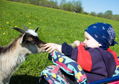 small boy plays with kid