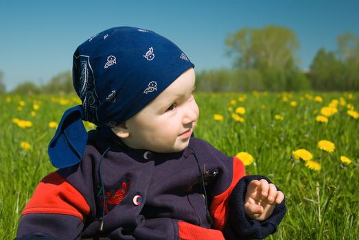 boy on meadow with dandelion.small child