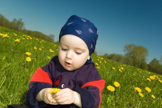 small boy studies dandelion. beautiful year meadow