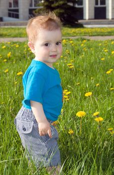  boy and dandelions. year day