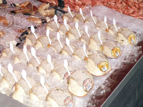 crabs on Bergen fishmarket in Noway