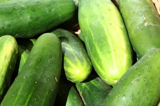 A Bunch of cucumbers