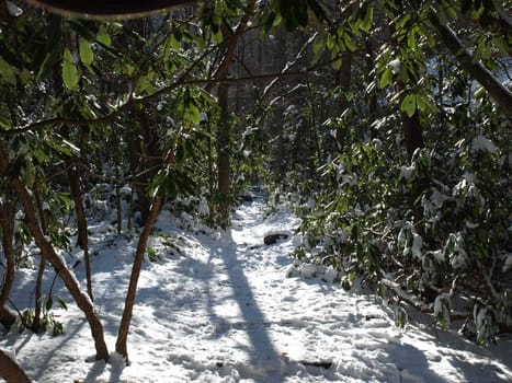 View along the Jacobs Fork River at South Mountain State Park after a snow fall