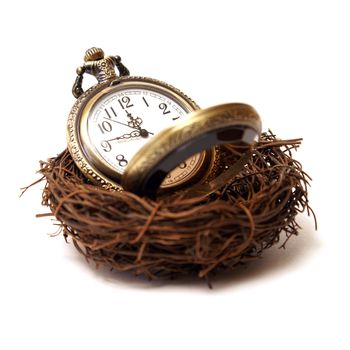 A concept of nurturing time as a valuable asset.