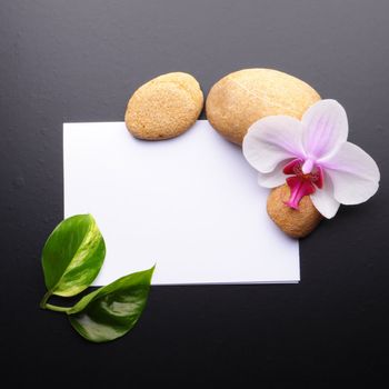 spa or wellness concept with blank and empty sheet paper on white
