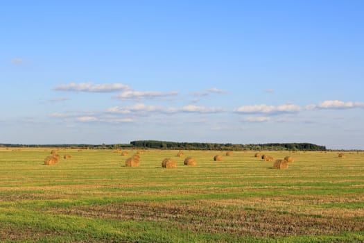 Summer landscape with hay, field and blue sky