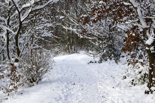 winter park in snow