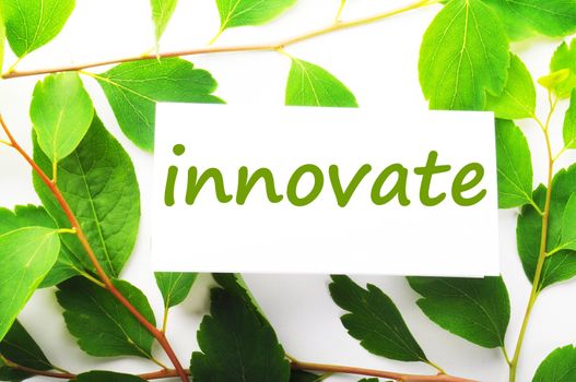 innovate concept with word on nature still life