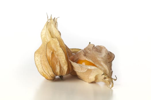 Two fresh physalis fruits  with a white background
