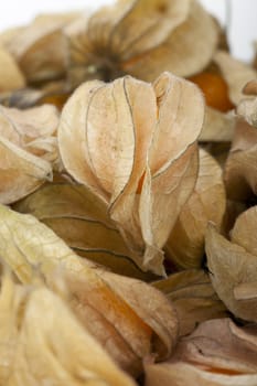 Close up of group of physalis fruits filling frame with horizontal orientation.