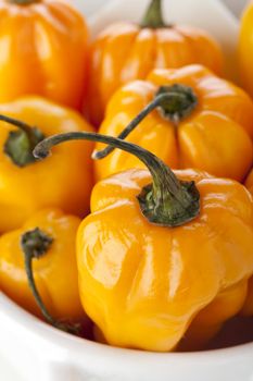 Close up of scotch bonnet peppers in small bowl.