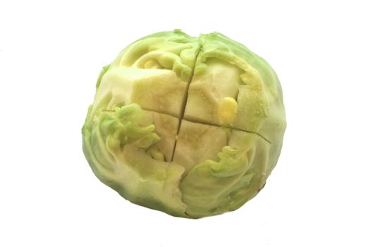 Single raw sprout