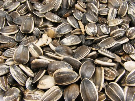 sunflower seeds