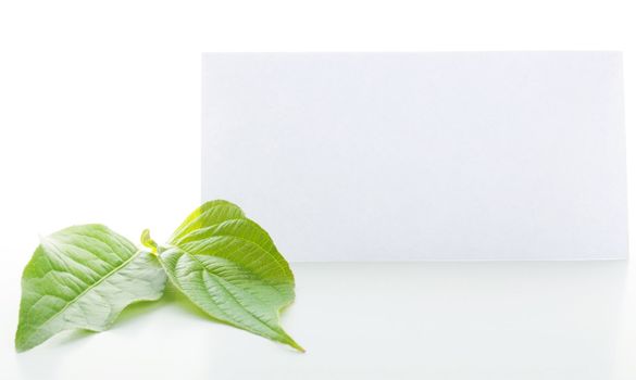 blank paper with copyspace and green leaves