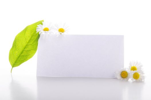 empty sheet of paper and green leaf for note