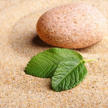 zen garden with stone or pebble on sand with leaf