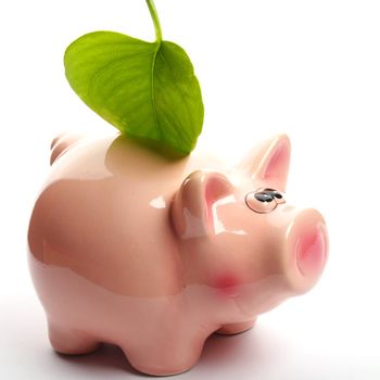 save the nature concept with piggybank an green leaf