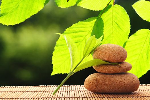 zen stack or tower with green summer leaf showing spa or wellness