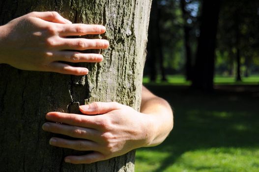 embracing a tree with hands shwing nature ecoecology or environmental concept