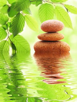 zen stones and green summer leaves with water reflection