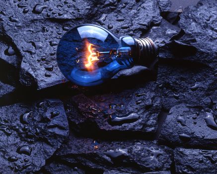 Blue light lamp bulb lye upon wet rocks
