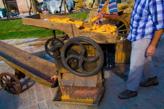 Old machine taking away the corn from the corncubs