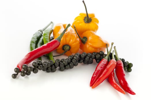 Spicy vegetables: pepper corns, scotch bonnets, red and green chili peppers.