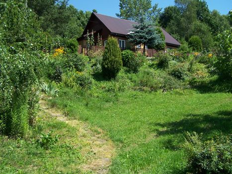 house on the hill in summer