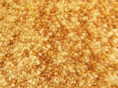 carpet