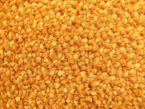 carpet