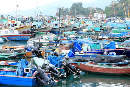 many fish boat in dock