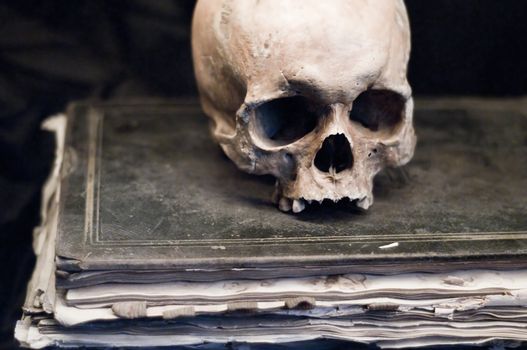 Skull on an old Book with reduced Colors