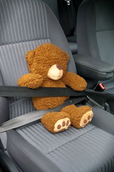 Teddy with seat belt in a car