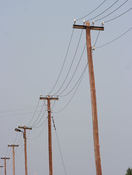 Wooden electric poles
