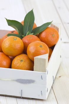 fresh tangerines