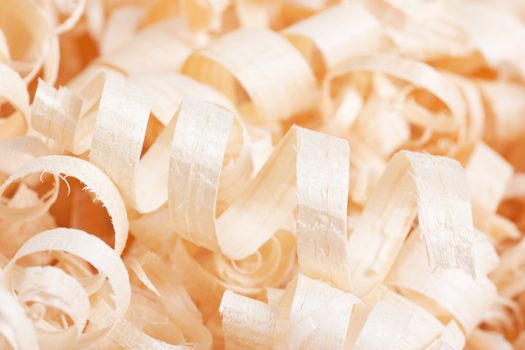 Wooden shaving texture. Macro view of spiral shavings.