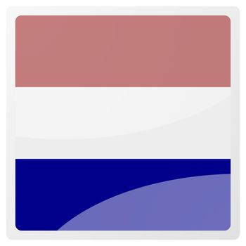 dutch aqua button