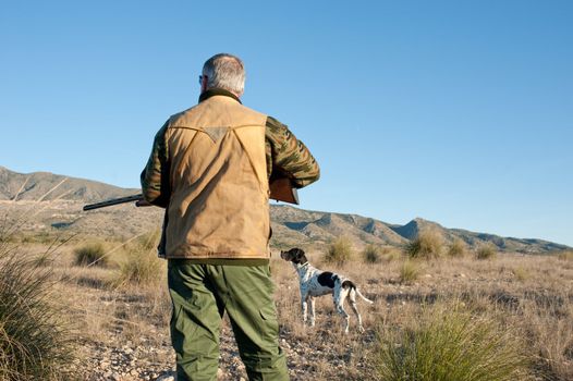 Quail hunter in camouflage clothing walking across the field