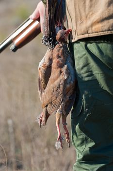 A successful hunting day�s prize; still life