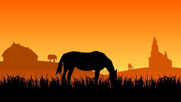 two horses on pasture at sunset in summer