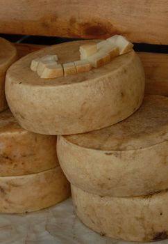 craft ewe's cheeses in a market in corsica