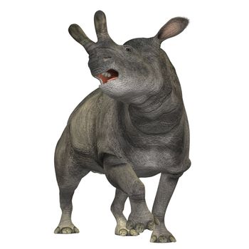 The Brontotherium was a rhinocerous-like mammal which was a herbivore and is now extinct. It roamed North America in the Early Oligocene and is related to the horse.    