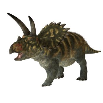 The Coahuilaceratops dinosaur was a herbivore that lived in the Cretaceous Period of Earths history. Its fossils have been found in northern Mexico.